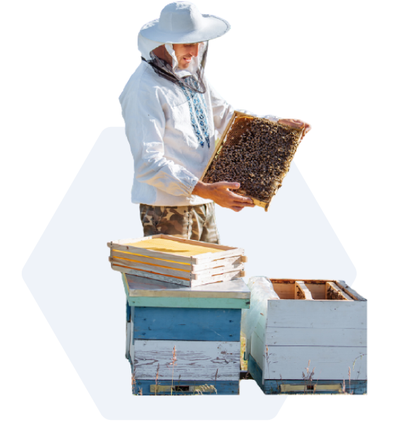 bee keeper2-01 bee keeper2-01