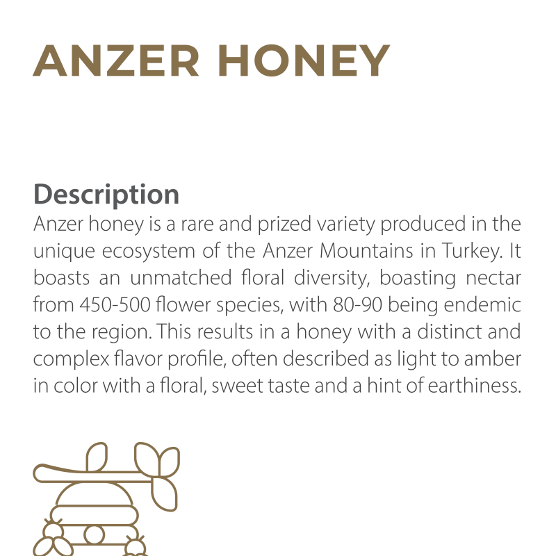 anzer-04